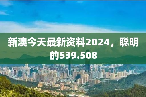 新澳今天最新資料2024，聰明的539.508