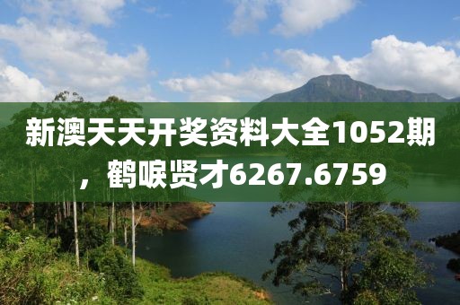 新澳天天開(kāi)獎(jiǎng)資料大全1052期，鶴唳賢才6267.6759