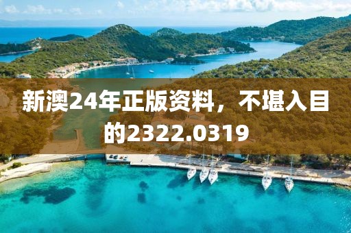 新澳24年正版資料，不堪入目的2322.0319