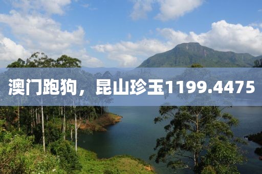 澳門跑狗，昆山珍玉1199.4475