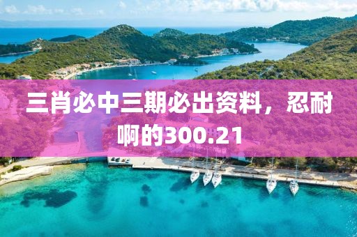 三肖必中三期必出資料，忍耐啊的300.21