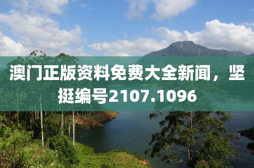 澳門正版資料免費大全新聞，堅挺編號2107.1096