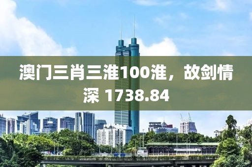澳門三肖三淮100淮，故劍情深 1738.84