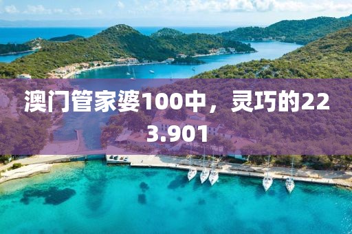 澳門管家婆100中，靈巧的223.901