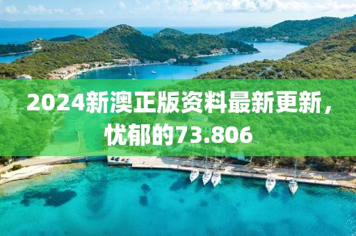 2024新澳正版資料最新更新，憂郁的73.806