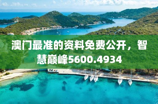 澳門最準的資料免費公開，智慧巔峰5600.4934