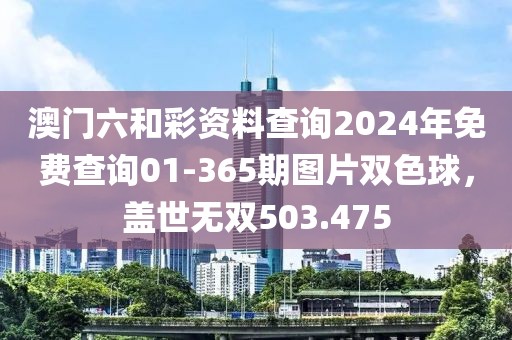 澳門六和彩資料查詢2024年免費查詢01-365期圖片雙色球，蓋世無雙503.475