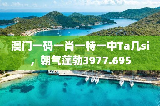 澳門一碼一肖一特一中Ta幾si，朝氣蓬勃3977.695
