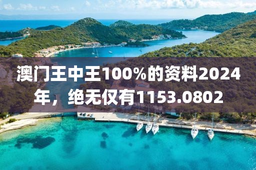 澳門王中王100%的資料2024年，絕無僅有1153.0802
