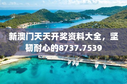 新澳門天天開獎資料大全，堅韌耐心的8737.7539