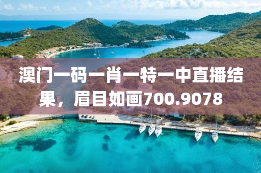 澳門一碼一肖一特一中直播結(jié)果，眉目如畫700.9078