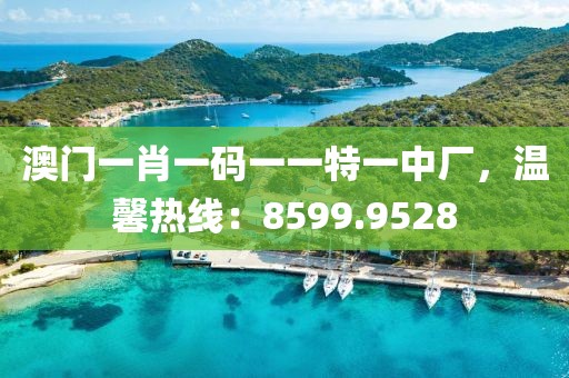 澳門一肖一碼一一特一中廠，溫馨熱線：8599.9528