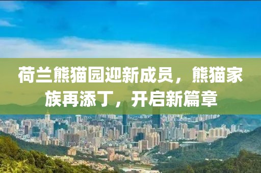 荷蘭熊貓園迎新成員，熊貓家族再添丁，開啟新篇章