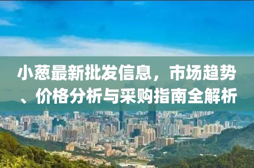 小蔥最新批發(fā)信息，市場(chǎng)趨勢(shì)、價(jià)格分析與采購(gòu)指南全解析
