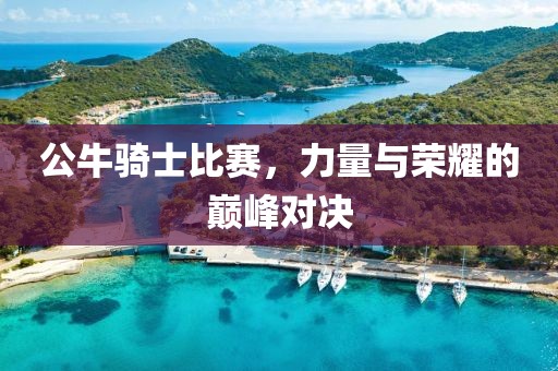 公牛騎士比賽，力量與榮耀的巔峰對(duì)決