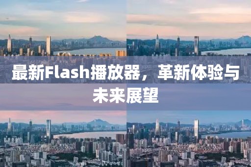 最新Flash播放器，革新體驗(yàn)與未來展望