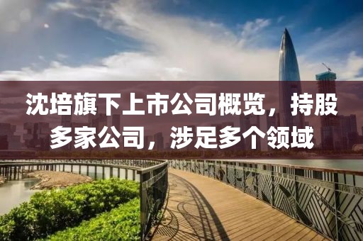 沈培旗下上市公司概覽，持股多家公司，涉足多個領域