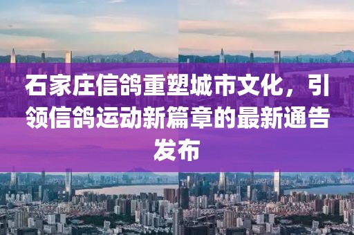 石家莊信鴿重塑城市文化，引領(lǐng)信鴿運(yùn)動新篇章的最新通告發(fā)布