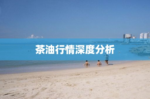 茶油行情深度分析