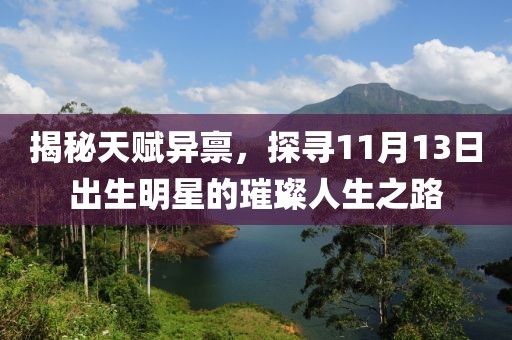 揭秘天賦異稟，探尋11月13日出生明星的璀璨人生之路