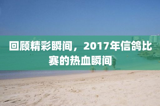 回顧精彩瞬間，2017年信鴿比賽的熱血瞬間