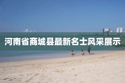 河南省商城縣最新名士風采展示