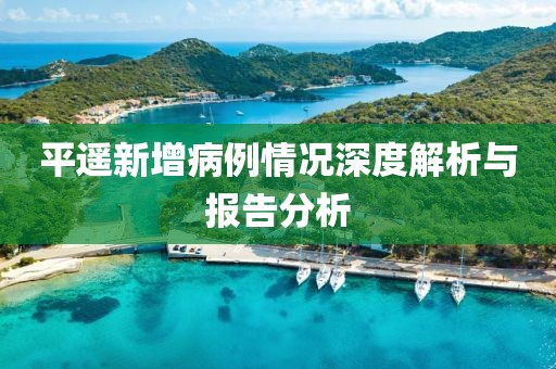 平遙新增病例情況深度解析與報(bào)告分析