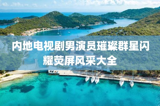 內(nèi)地電視劇男演員璀璨群星閃耀熒屏風(fēng)采大全