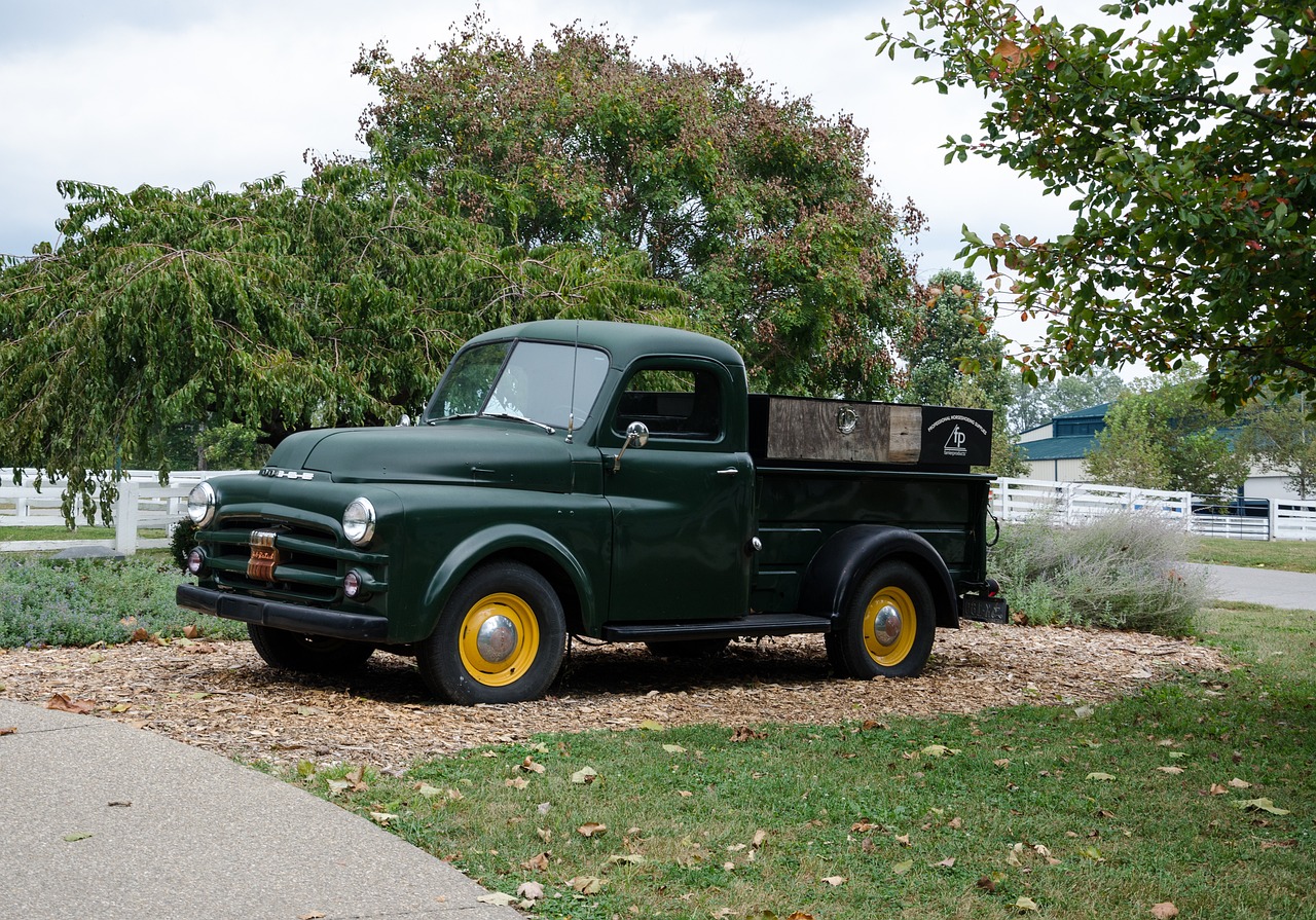 內(nèi)蒙古最新疫情動(dòng)態(tài)及其區(qū)域影響分析