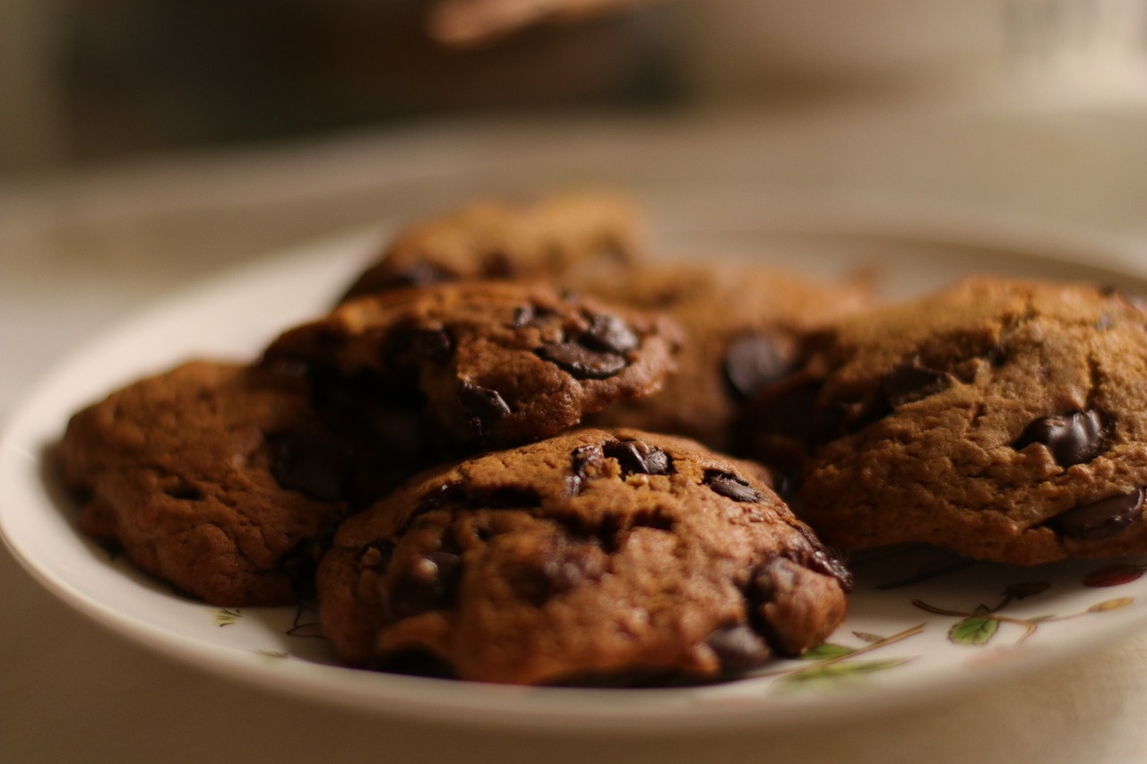 流浪動態(tài)，探索生活藝術(shù)的無限可能