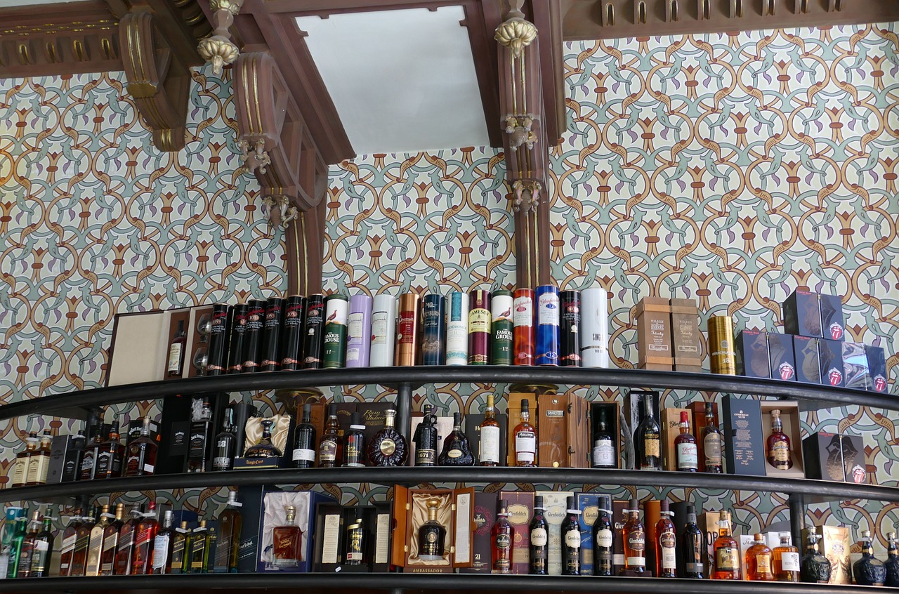 明星寵物店，城市中的璀璨寵物樂(lè)園