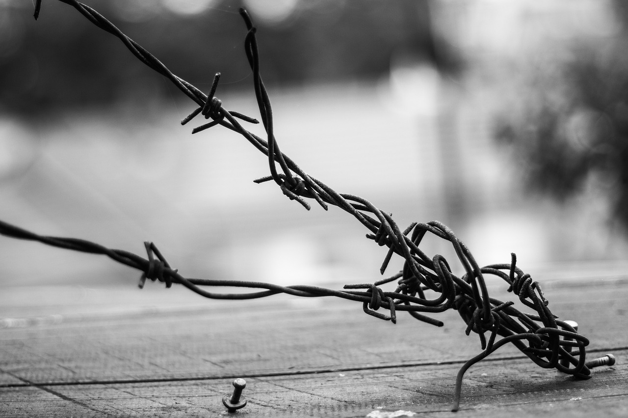 韓國(guó)電影叛獄無間深度解讀與反思