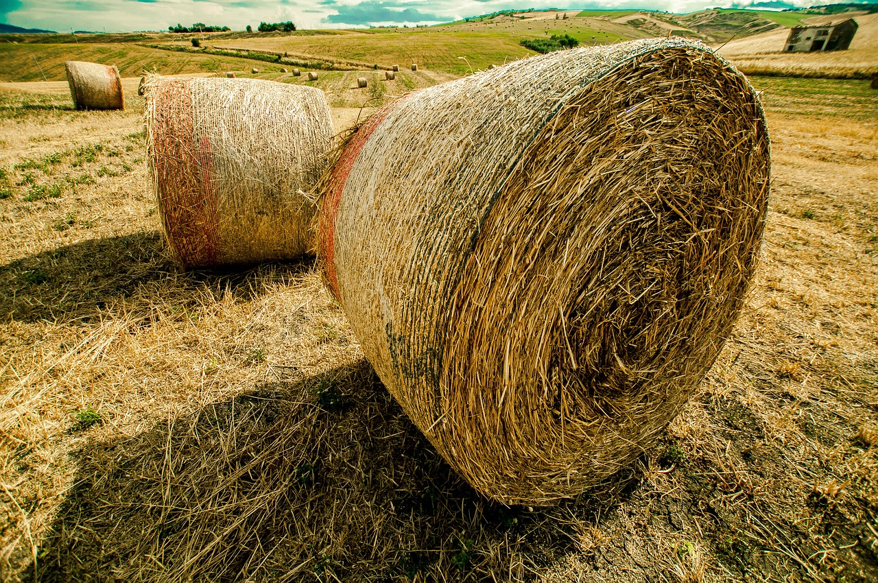 DNF帕拉丁引領(lǐng)變革，最新動態(tài)揭示嶄新篇章