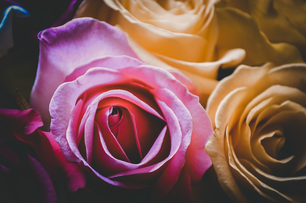 最新日本動漫劇場版，熱血與情感的極致探索