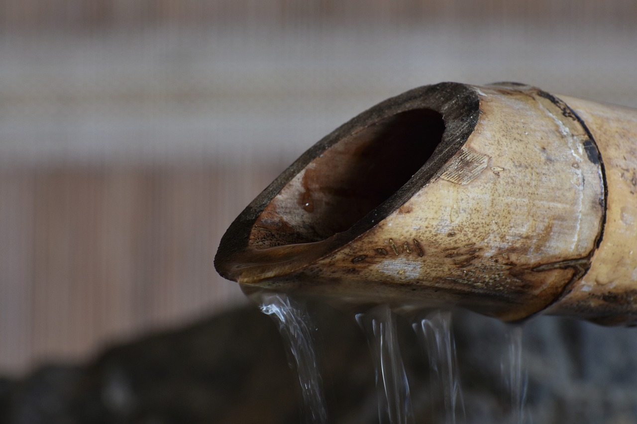 最新開學(xué)資訊概覽，開學(xué)動(dòng)態(tài)一網(wǎng)打盡