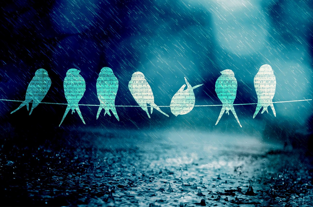 小棉襖 第20頁(yè)