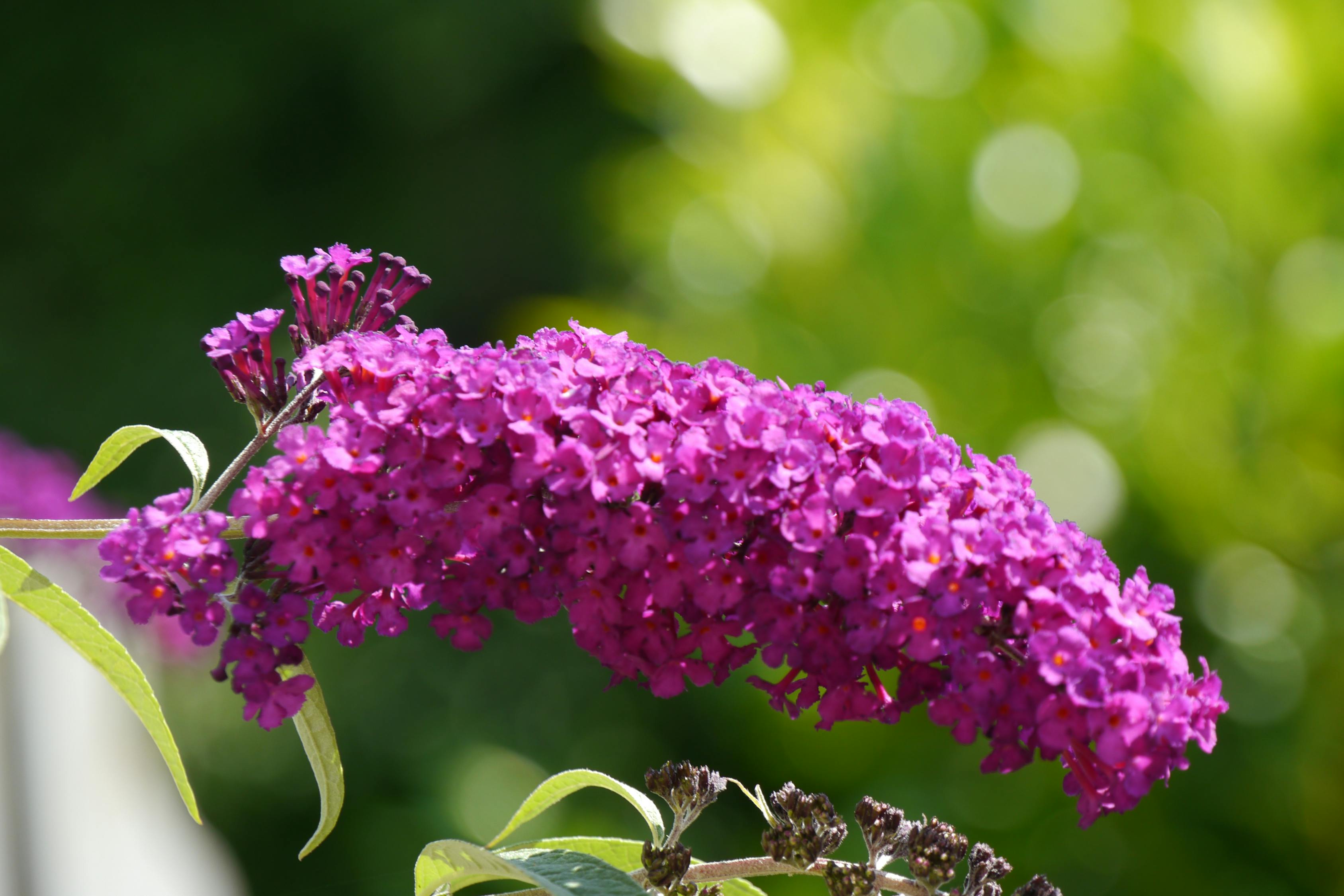 初遇在故事開頭 第21頁