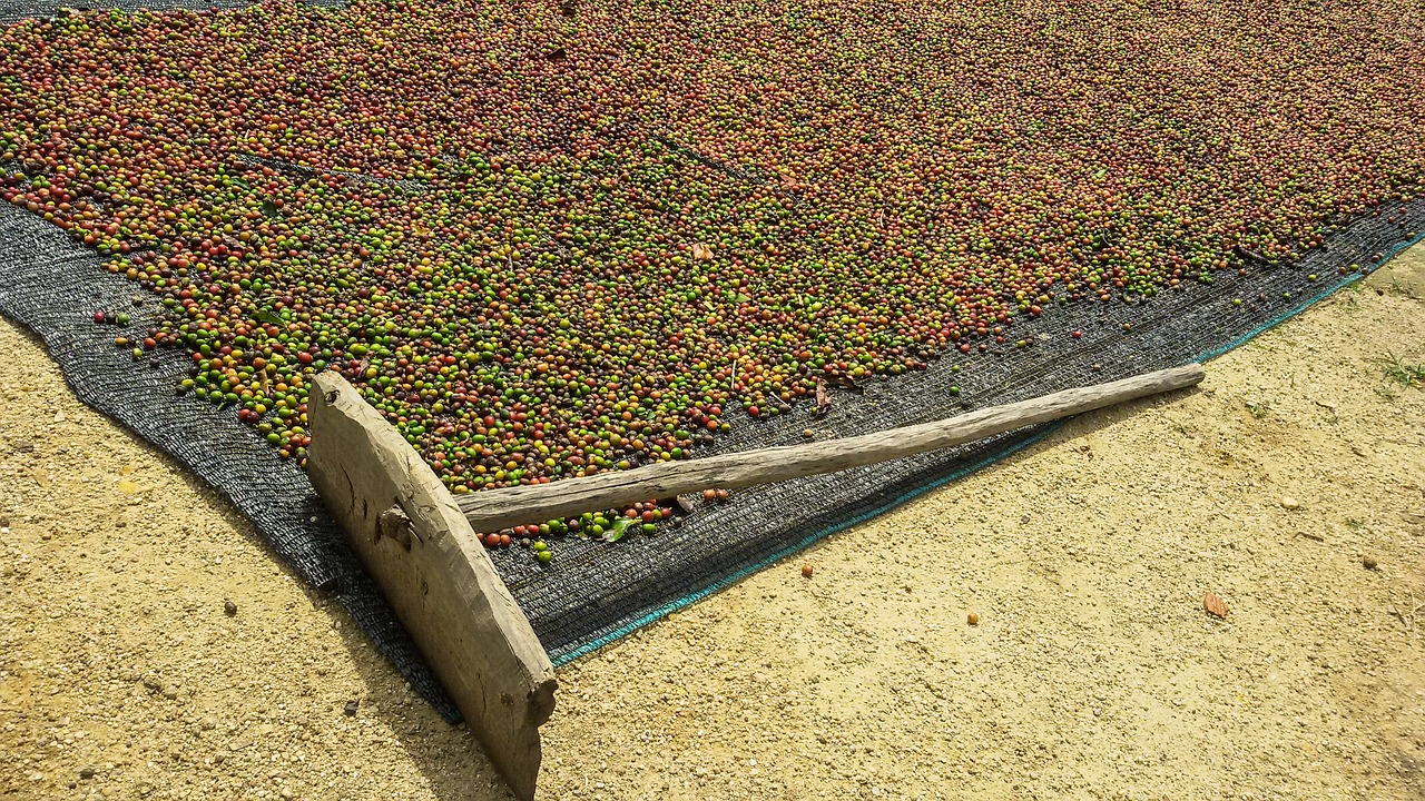 新型農(nóng)業(yè)機械，推動農(nóng)業(yè)現(xiàn)代化進程的核心力量