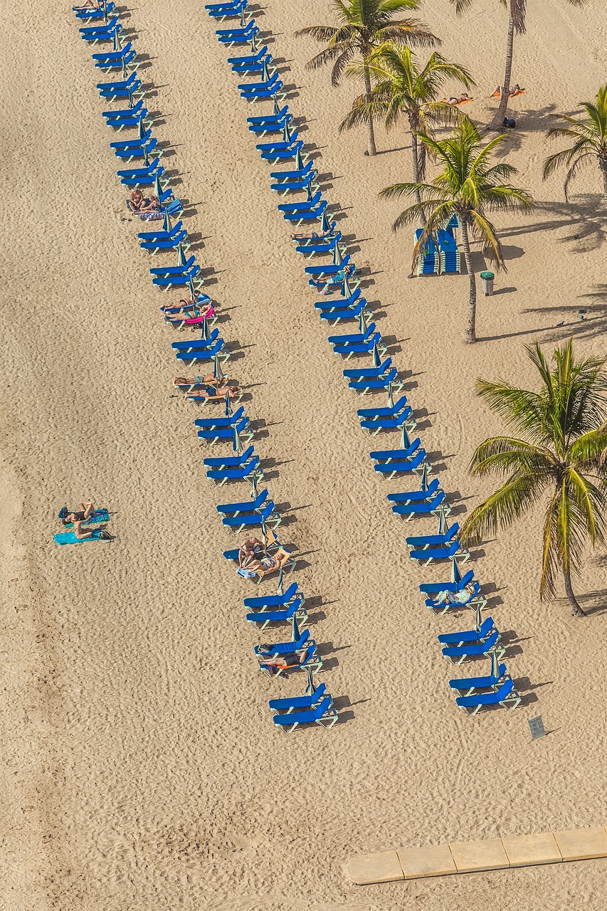 斗破蒼穹動(dòng)漫下載，探索與體驗(yàn)之旅