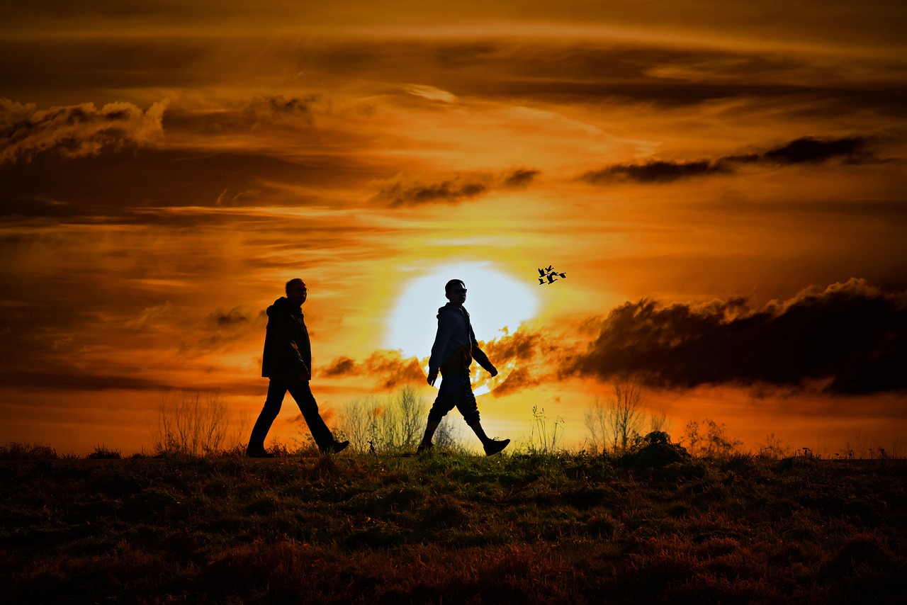 深度解析與感悟步步驚情電視劇