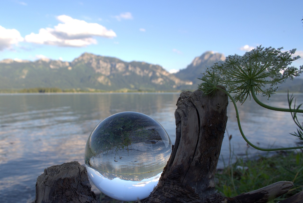 玻璃期貨行情分析與展望，最新市場動(dòng)態(tài)及未來趨勢預(yù)測