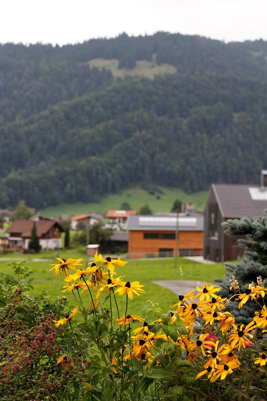 雄安新區(qū)蓬勃發(fā)展藍(lán)圖與未來(lái)展望，最新動(dòng)態(tài)揭秘