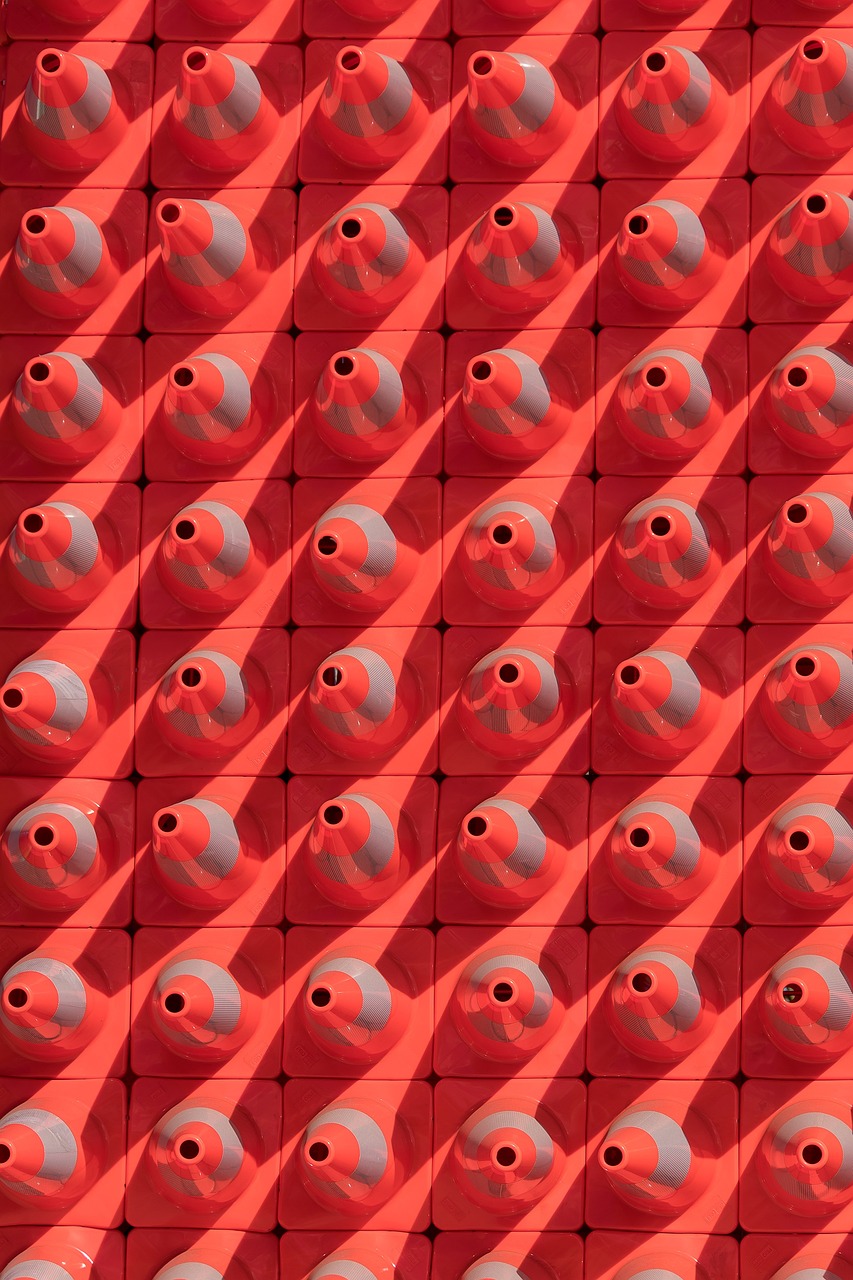 南拳動態(tài)，傳統(tǒng)武術(shù)的現(xiàn)代展現(xiàn)與傳承之路