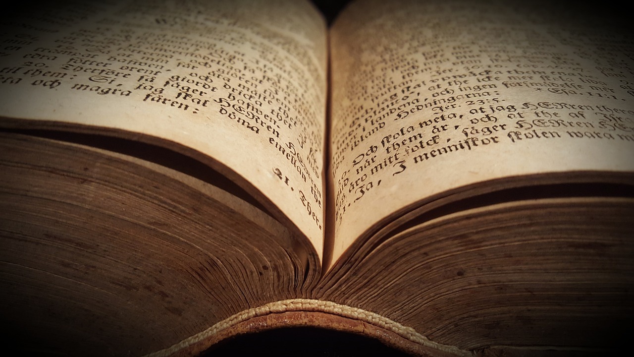 忠犬八公，觸動(dòng)心靈的感人故事電影