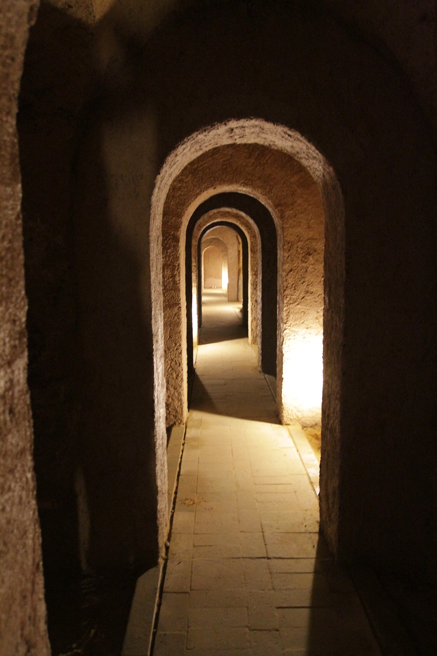 2024年12月 第23頁(yè)