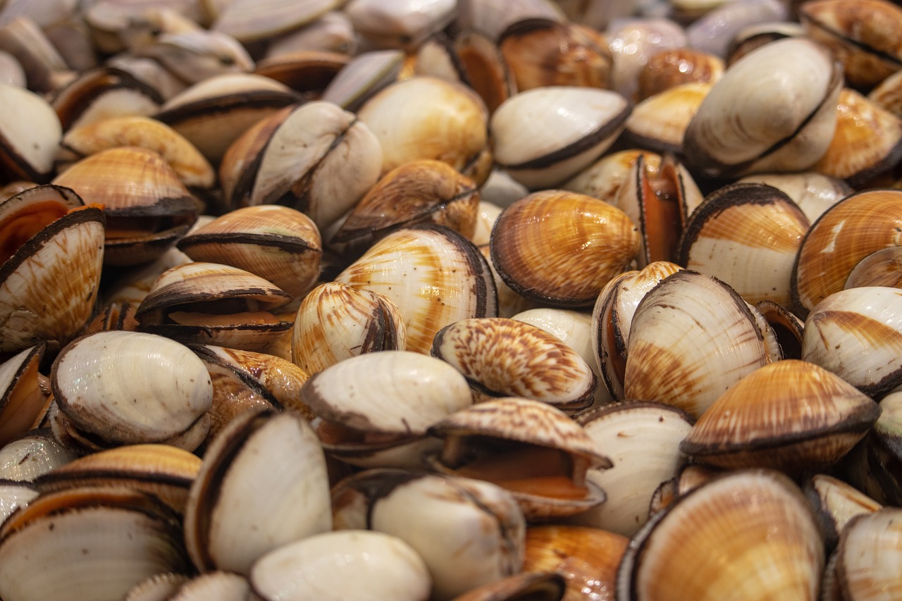 和田青玉煙嘴最新價(jià)格及收藏價(jià)值與市場動態(tài)分析