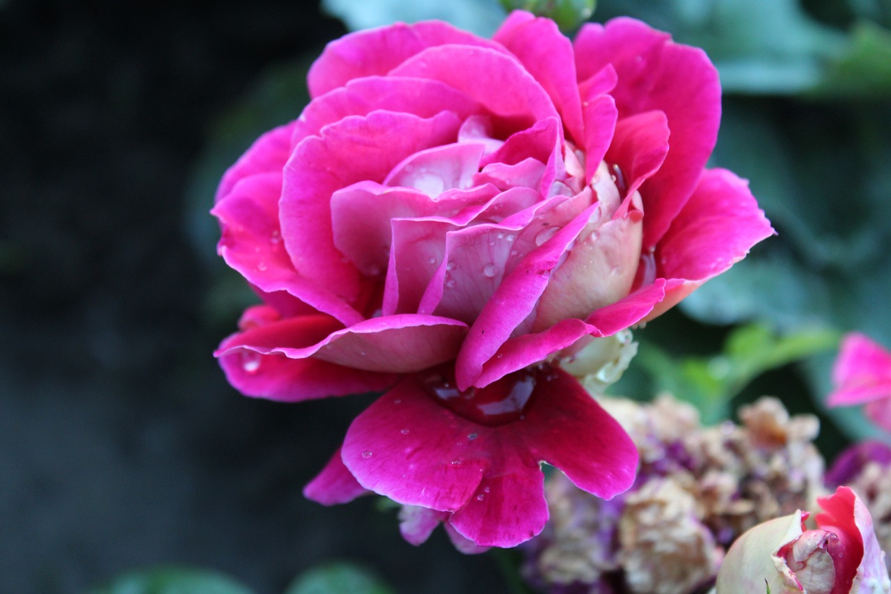 鷹潭最新資訊概覽，最新動態(tài)一網(wǎng)打盡