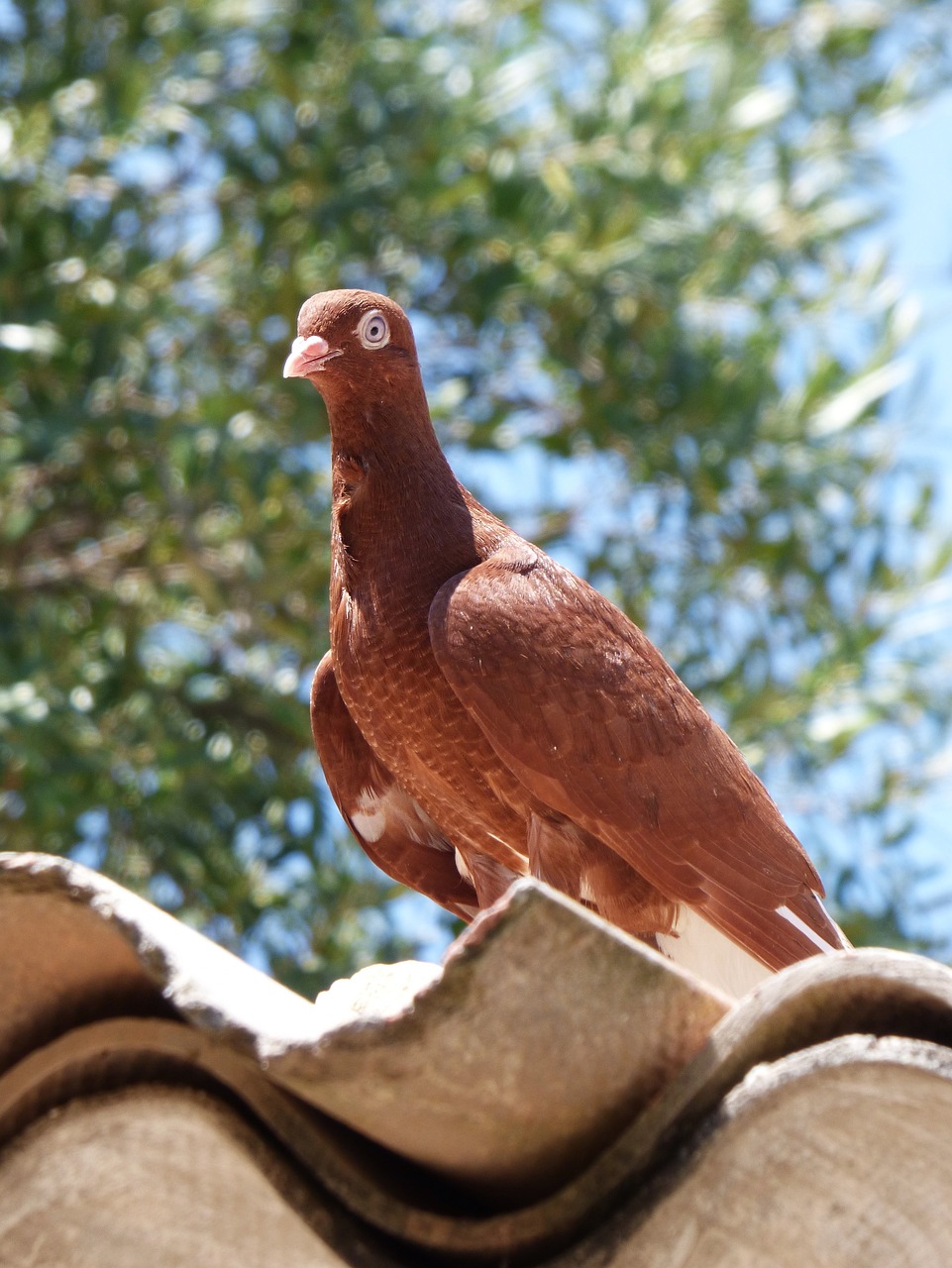 元亦夏 第17頁(yè)