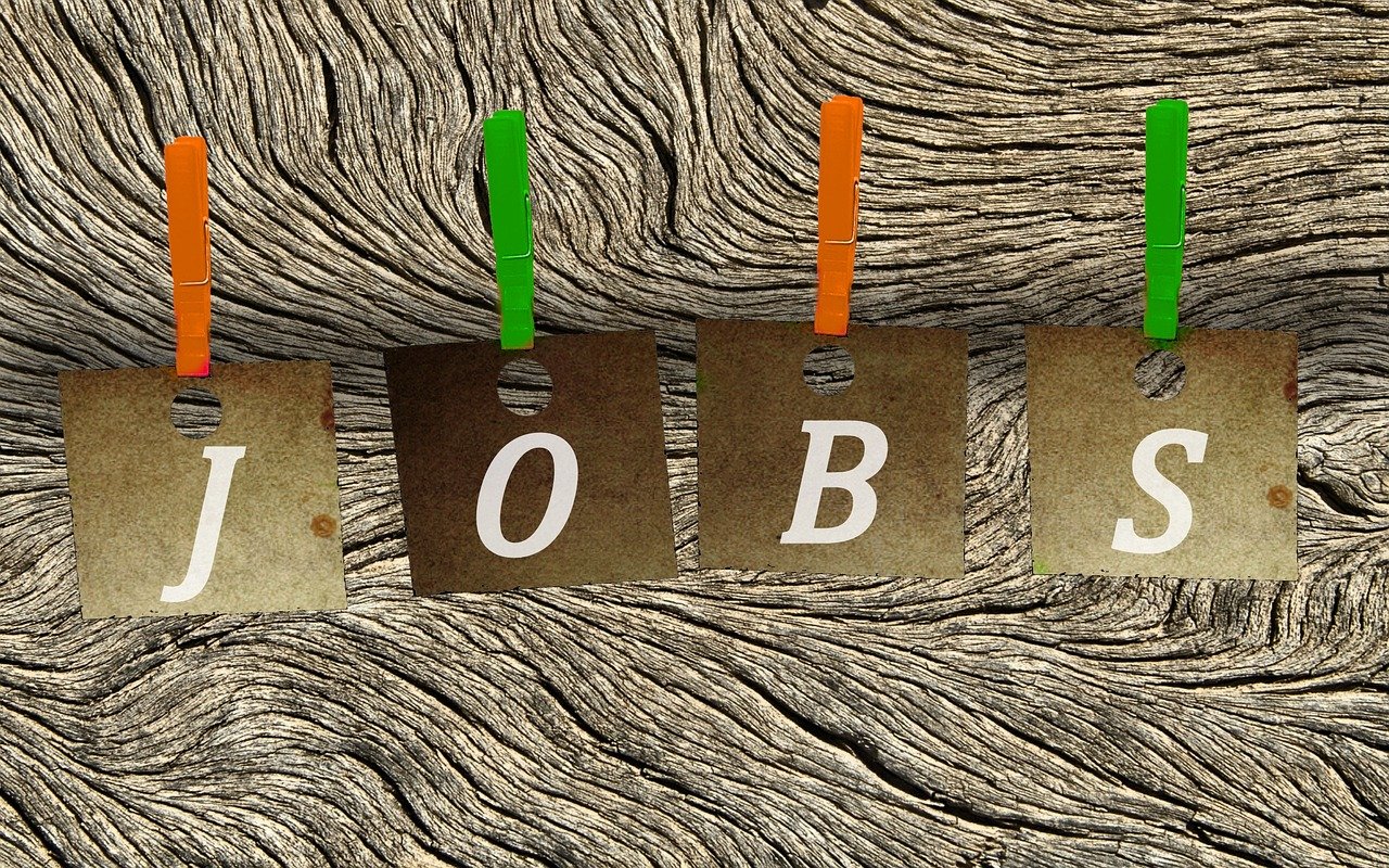 河南招聘最新動態(tài)，行業(yè)趨勢、人才需求洞察與最新職位發(fā)布