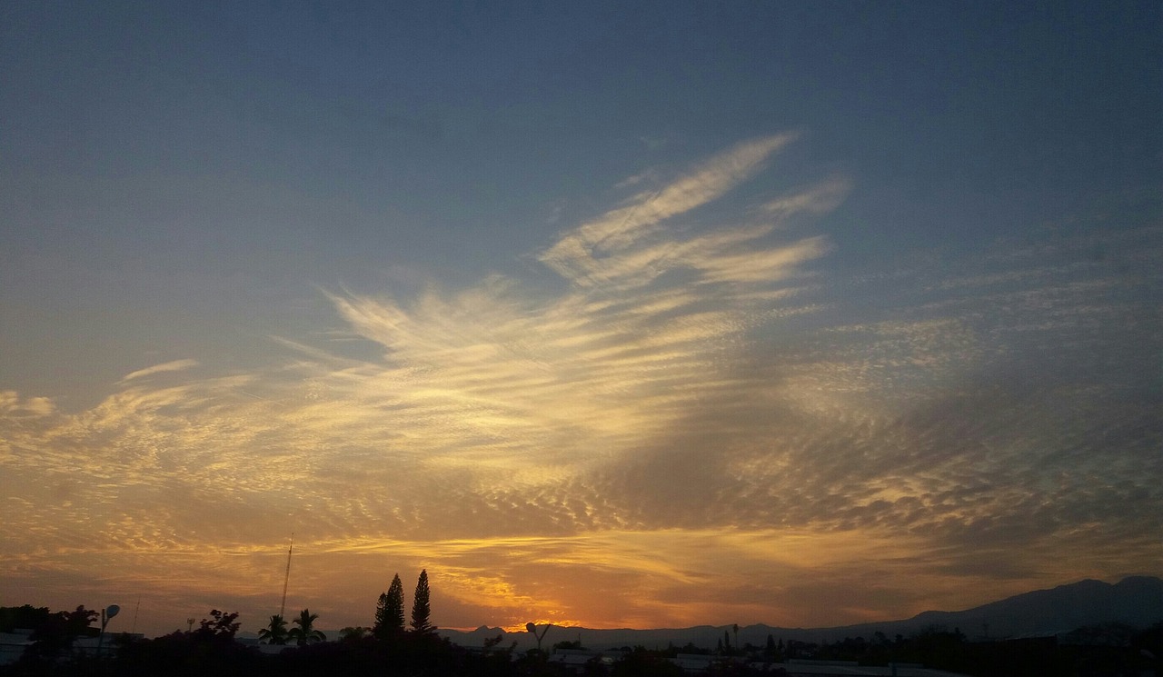 永城旅行社最新動(dòng)態(tài)，探索未來，引領(lǐng)旅游新風(fēng)潮